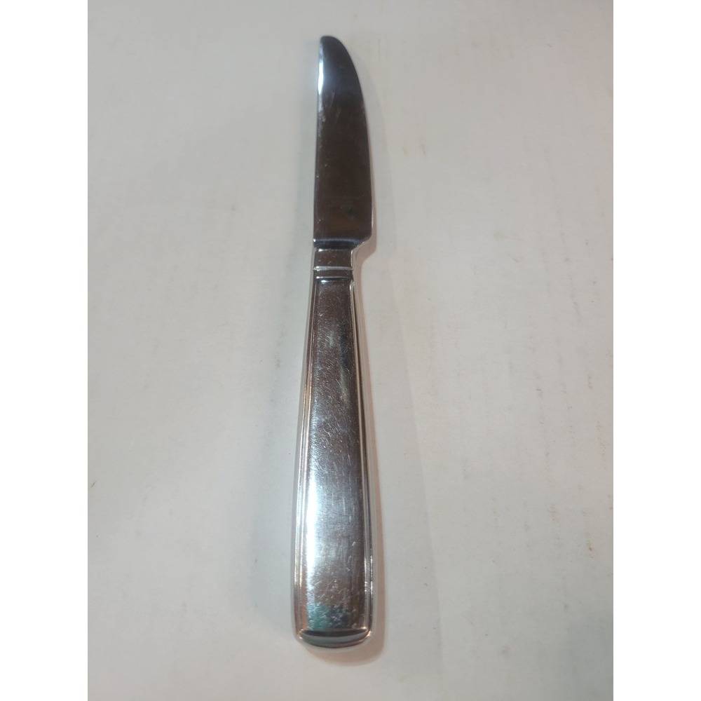Reed & Barton Northland Stainless Steel Dinner Knife 18/10 Solid‎ Handle Silver